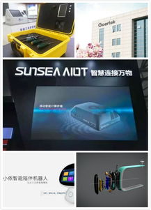 物联潍坊，智绘未来 物联网应用服务如何塑造智慧新世界